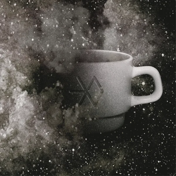 Cover art for Been Through — EXO